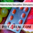 Männliches Sexuelles Stimulans 06
